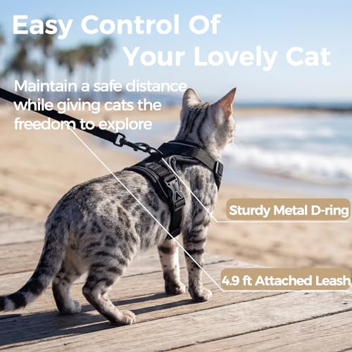 Cat Harness and Leash Set, Escape Proof Cat Vest, Black, L | Fully Adjustable, Soft Breathable Mesh, Reflective Strips, Snap Buckles, No-Pull Easy Control, for Medium & Large Cats - Image 6