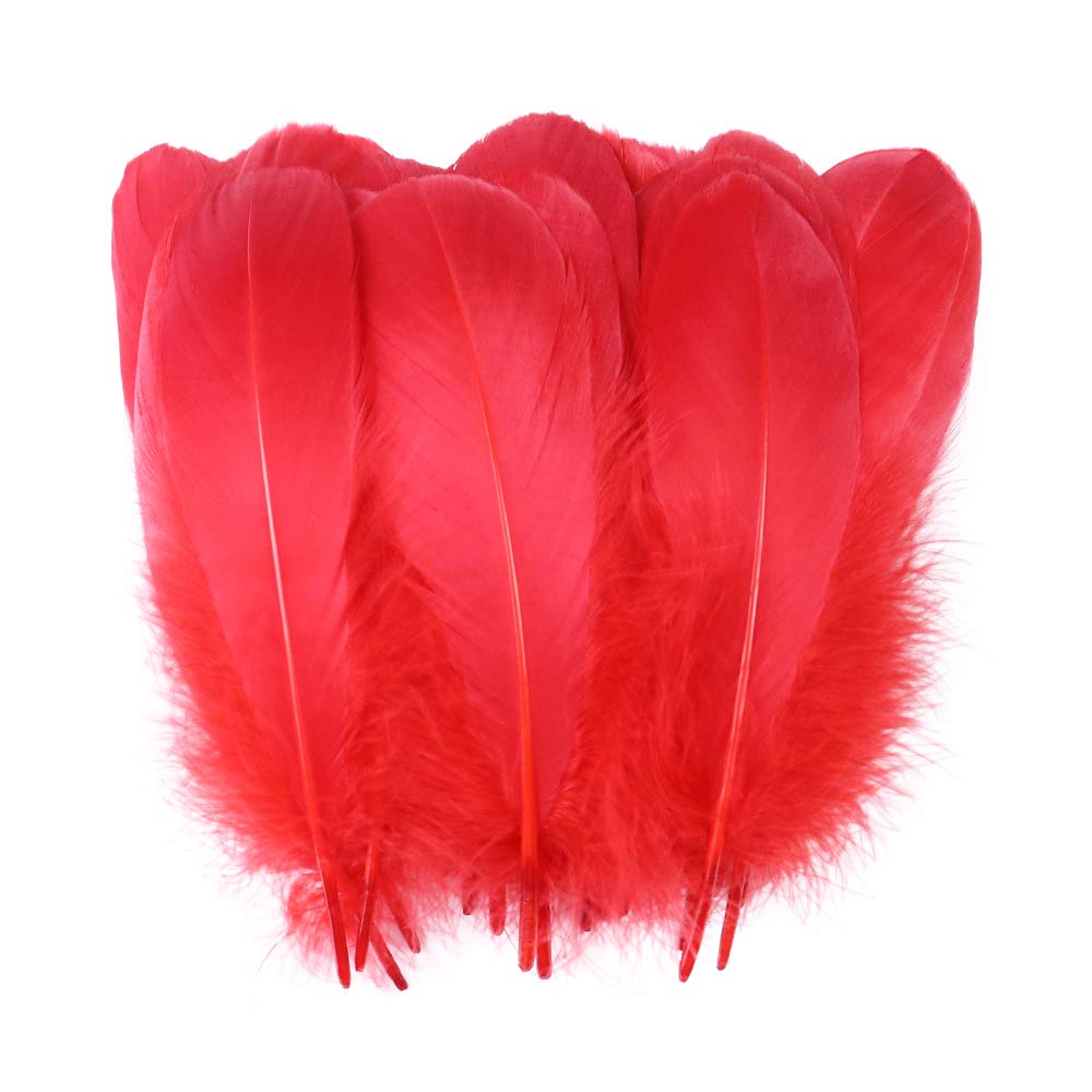Fearafts Large Goose Swan Feathers Value Pack, DIY for Kids' Arts and Crafts, Projects
