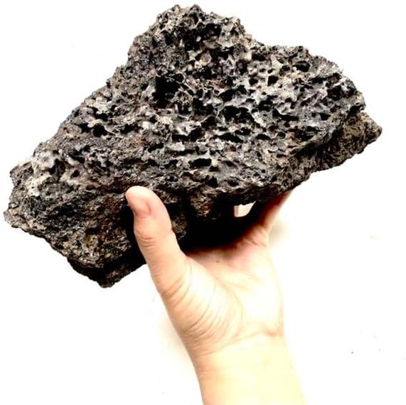 溶岩石 20kg 50-300㎜ 親石付 水槽 アクアリウム ビオトープ 水槽