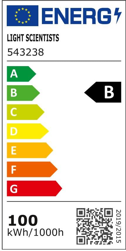 EU Energy Label for Light Scientists 543238