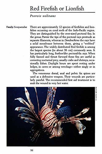 Handy Pocket Guide to Tropical Coral Reef Fishes (Handy Pocket Guides) - Image 5