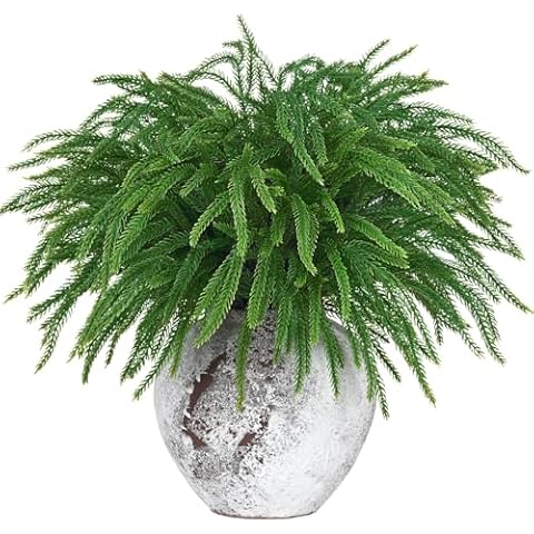 Dolicer 12 Pcs Christmas Decorations Norfolk Pine Stems, 17.7’’ Real Touch Norfolk Pine Stems, Norfolk Pine Branches Christmas Greenery Stems for Xmas DIY Craft Wreath Indoor Outdoor Home Decor Cover