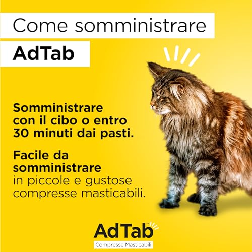 AdTab comprimés chats 0,5-2,0 kg pour stopper les démangeaisons dues aux puces