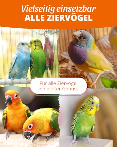 Kolbenhirse gelb 500g - Einzelfuttermittel für alle Ziervögel - Vogelfutter - 100% Natur – Bild 4
