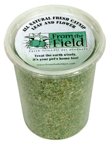 from The Field | Organic Catnip Leaf & Flower Blend for Cats & Kittens | Fresh USA-Grown, Highly Aromatic, Non-Toxic, Eco-Friendly | 3.5 oz Resealable Tub for Long-Lasting Potency & Active Playtime