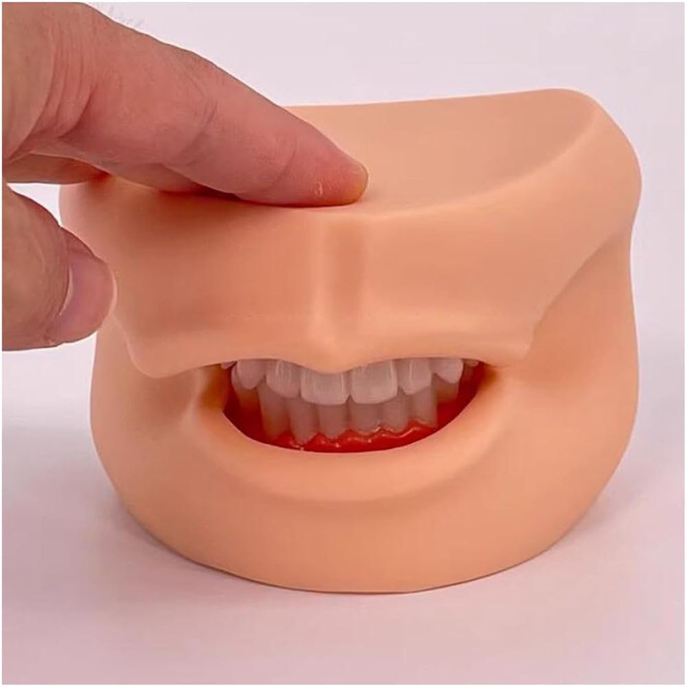 Modello di cura dentale per denti e lingua, strumento didattico per la salute dentale delle guance, modello dimostrativo per l'educazione all'igiene orale