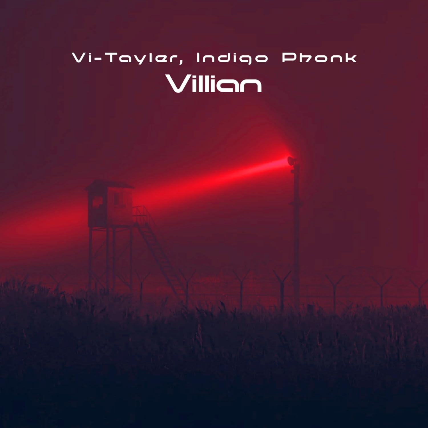 Vi-Tayler