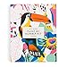 Kitty McCall Toucan Paint By Number Kit