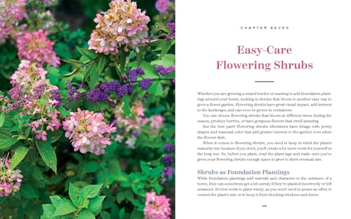 The Bricks 'n Blooms Guide to a Beautiful and Easy-Care Flower Garden - Image 8