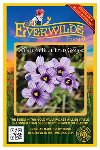 Everwilde Farms - 200 Western Blue-Eyed Grass Native Wildflower Seeds 