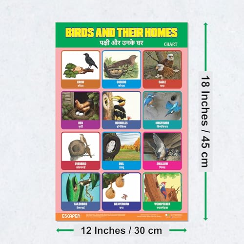 Image of ESCAPER Birds & Their Homes Educational Charts for Kids Learning, (11.5 x 17.5 inches), 300 GSM Paper Laminated, Self Adhesive Back Kids Study Material, Learning Chart, Educational Posters