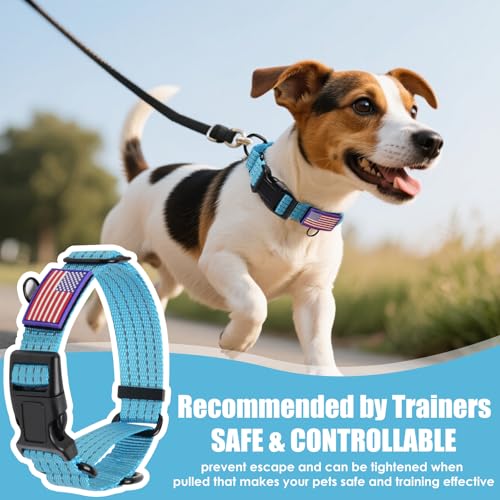Image of Martingale Dog Collar Reflective NO Pull with USA Flag, L,Sky Blue | Escape Proof without choking,Adjustable Limited Slip Collar with Quick Release Buckle, Nylon Walking Collar for S M L Dogs