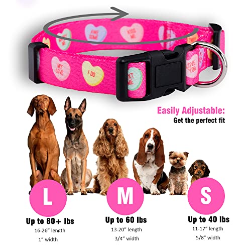 Native Pup Valentine's Day Heart Dog Collar, Cute Pink Red Puppy Gift (Medium, Candy Hearts) #TOP2