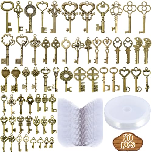 ZLPBAO Juego de 60 colgantes vintage con forma de llave antigua, con 60 colgantes de alas de libélula, 1 alambre de perlas de 30 metros, bronce antiguo, decoración vintage