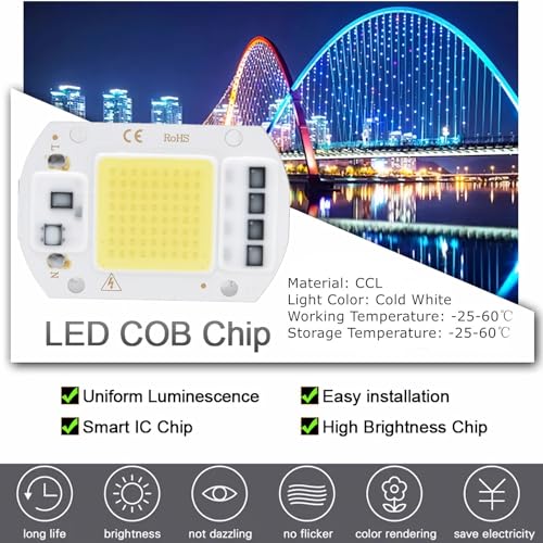 Mumusuki 100W 220V LED COB Chip Smart IC Driver