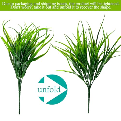 Recopilación y reviews de Comprar plantas online baratas más recomendados. 7 Imagen adicional