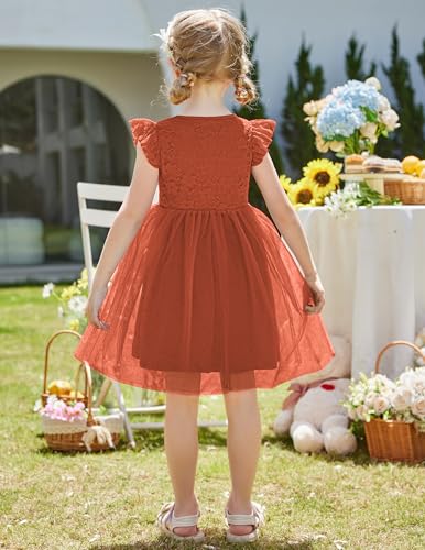 Arshiner Toddler Lace Tutu Dresses Ruffle Sleeve 3 Layers Tulle Flower Wedding Birthday Summer Little Girls Dress3