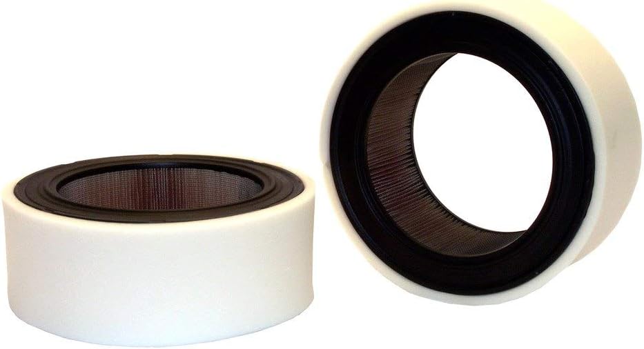 Wix Air Filter with Wrap - 46200