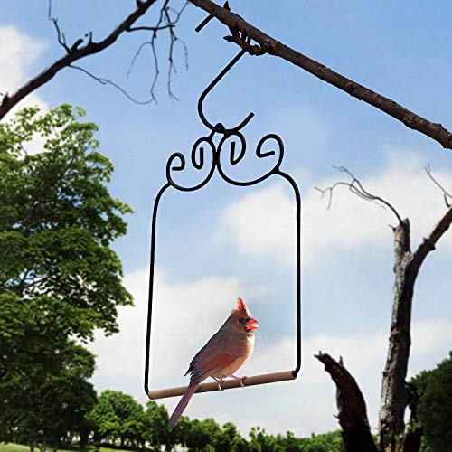 image for Gray Bunny Premium Hummingbird Swing, Rust Resistant Metal Frame, Wood