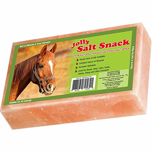 Image of Horsemen's Pride 100% Himalayan Salt Brick, 4 Pounds