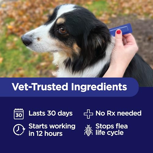 Image of TevraPet Activate II Flea and Tick Prevention for Dogs, Extra Large Dogs 55+ lbs, Topical Drops, 4 Month Flea and Tick Treatment