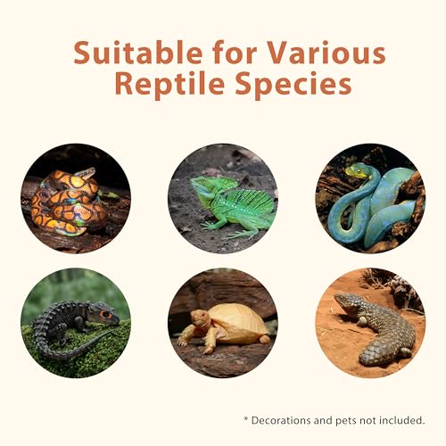 Image of 20 Gallon PVC Reptile Enclosure, RepWild 30 inchx12 inchx12 inch Terrarium /Tank with Heavy-Duty Screen Top, Glass Sliding Doors & Lock for Bearded Dragons, Ball Python, Geckos, Lizards