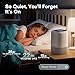 Air Purifiers for Home with H13 Quiet HEPA Filter Up to 1076 Ft² for Pet Hair, Odors, Pollen, Smoke, Compact Air Cleaner with 3 Speeds, Timer, Aroma Quiet 360°Intake Filter, White