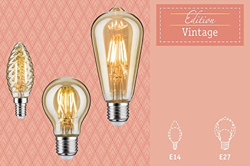 Paulmann 28952 LED Filament Bulb Vintage AGL 4 W Dimmable Gold 2500 K Gold Light E27 - Image 4
