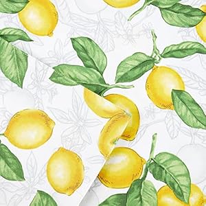 Martha Stewart Lots of Lemons Placemat Set 13×175 WhiteYellow