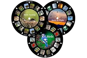 Bird Reels for Viewfinder Compatible View Master Viewers (Reels Only)