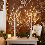 POIFL Arbre Lumineux LED 2 Pièces, 61 CM/2 ft Blanc Chaud Lumières de Bouleau avec 24 LE...
