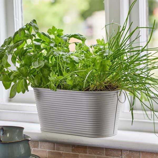Marco Paul 11" Ribbed Ivory Metal Planter for Plants, Herbs, Small Fruits & Veg Indoor Outdoor Planting Galvanised Herb Grow Plant Pot for Windowsills Balconies Patios Home Garden Window Box Planter