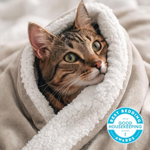 Image of Bedsure GentleSoft Sherpa Fleece Throw Blanket for Couch, Non-Heated, Thick and Warm Throw for Women and Men, Soft Fuzzy Plush Blanket for Winter, Beige, 50x60 Inches
