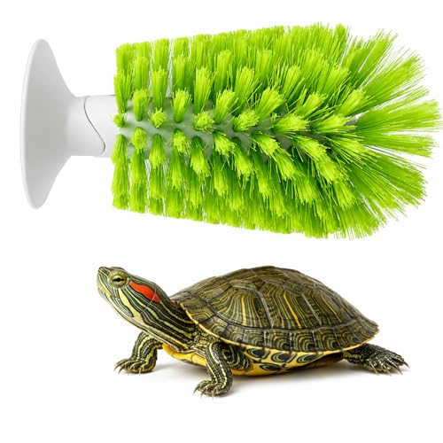 Nilioerup Turtle Scrub Brush Turtle Scratches Back Brush Turtle Shell Clean Brush with Suction Cup Turtle Exfoliate Brush Tank Tortoise Brush for Remove Turtle Shell Scutes Mud Dirt