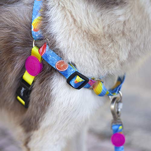 Peitoral Para Cachorros dog27 Summer Tamanho:PP