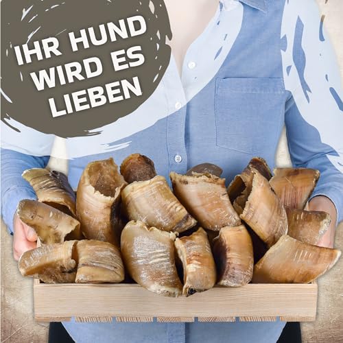 Lyra Pet Rinderhufe 15 Stück - Naturbelassener Kausnack Für Hunde Zur Zahnpflege