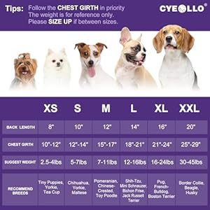 cyeollo St. Patrick's Day Dog Dress Pet Tulle Skirt with Bowtie Lucky Shamrock Holiday Dog Dresses for Small Dogs Puppy Cats Apparel, Green M cyeollo St Patricks Day Dog Dress Pet Tulle Skirt with Bowtie Lucky Shamrock Holiday Dog Dresses for Small Dogs Puppy Cats Apparel Green M