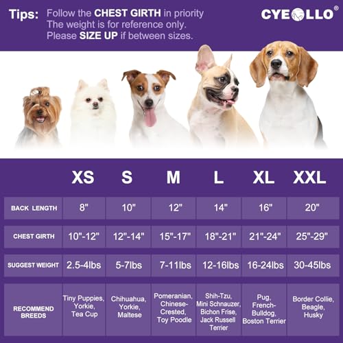 cyeollo-St-Patricks-Day-Dog-Dress-Pet-Tulle-Skirt-with-Bowtie-Lucky-Shamrock-Holiday-Dog-Dresses-for-Small-Dogs-Puppy-Cats-Apparel-Green-M cyeollo St Patricks Day Dog Dress Pet Tulle Skirt with Bowtie Lucky Shamrock Holiday Dog Dresses for Small Dogs Puppy Cats Apparel Green M