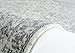 3212 Distressed Silver 7'10x10'6 Area Rug Carpet Large New
