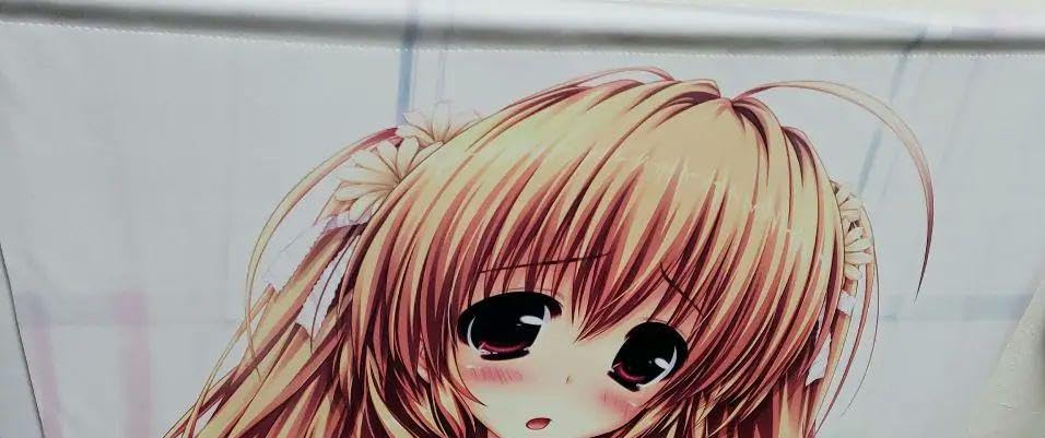 Amazon.co.jp: カミカゼエクスプローラー B2風花と秘密の放課後