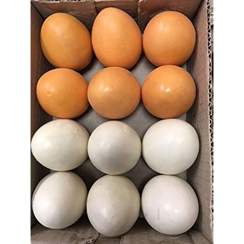 Artificial County Chicken Egg, Box of 12 Decorative Farmhouse Eggs, 2 Colors Cover