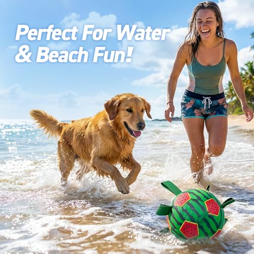 Image of QDAN Dog Water Toys, Pool Toys for Dogs Swimming Beach Fun, Watermelon Ball for Summer Outdoor Games (7 inch)