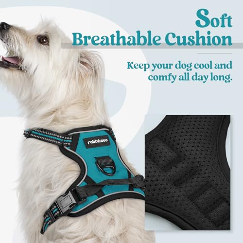 Image of rabbitgoo Dog Harness No Pull with 2 Leash Clips, Adjustable Soft Padded, Reflective Oxford No Choke Pet Vest with Easy Control Handle for Puppy, Teal, XS