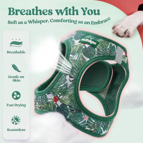 Image of rabbitgoo Dog Harness Small Sized and Leash Set, Step-in Puppy Pet Vest