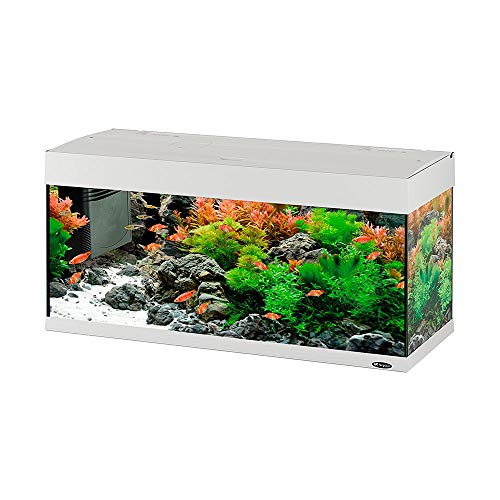  Acquario Ferplast DUBAI 100 LED vetro completo accessoriato bianco nero 190 L