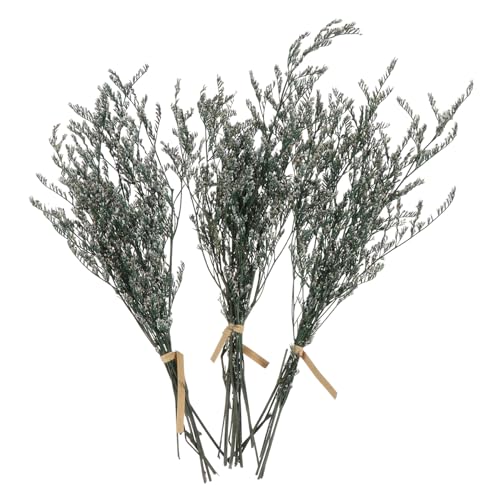 Ramo de flores secas Gypsophila para decoración miniatura 1