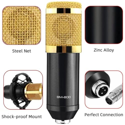 Image of TECHBLAZE Professional USB Condenser Microphone with Double-Layer Noise Filter, Metal Protective Mesh, Alloy XLR Interface, Plug-and-Play PC Mic for Gaming, Streaming, Podcasting & Recording