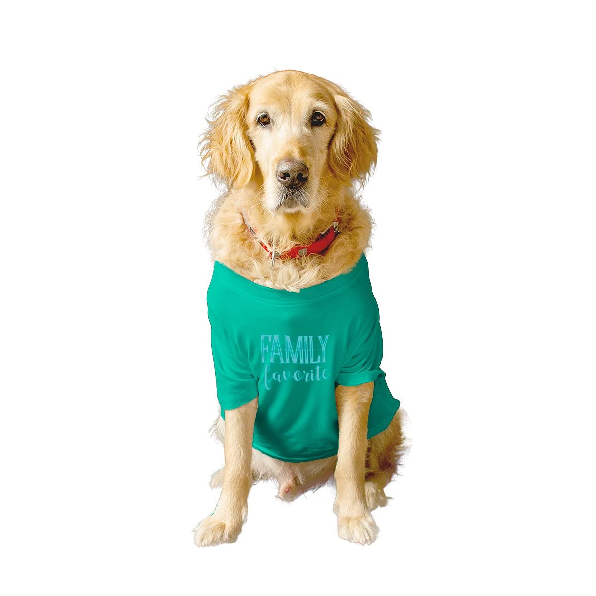 Ruse Basic Crew Neck Family Favourite Printed Half Sleeves/Apparel/Clothes/T-Shirt Gift for Dogs.Colour-Aqua Green/Small (Apso, Shih Tzu etc.) (B0979C7Q18) Amazon Price History, Amazon Price Tracker