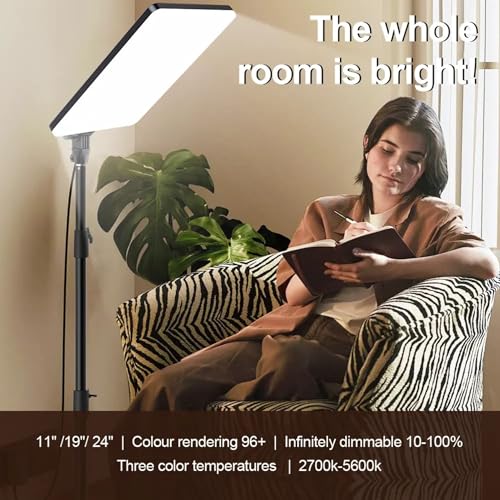 Image of RL-19 LED Video Bi-Colors Light Kit, 2700-7500K Dimmable Photography Lighting with Remote and 84 inches Stand, CRI 96+ Studio Lights for YouTube, Game Streaming, Video Photography