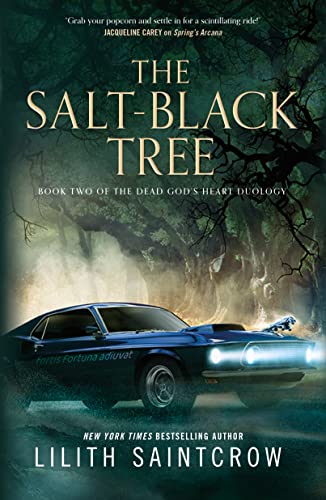 Book cover for The Salt-Black Tree